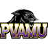 Prairie View Panthers.png logo